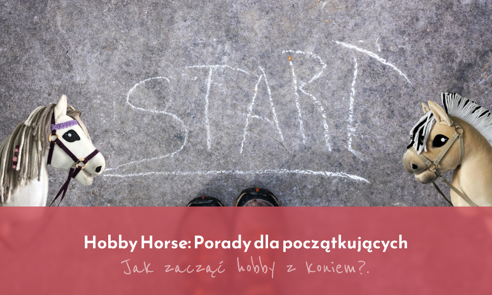 Hobby Horse: Porady dla początkujących - Jak zacząć hobby z koniem?
