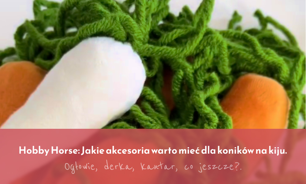 Hobby Horse: Jakie akcesoria warto mieć dla koników na kiju. Ogłowie, derka, kantar, co jeszcze?