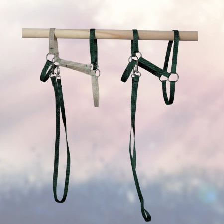 Kantar i wodze dla Hobby Horse, ogłowie - kolor zielony 