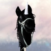 Hobby Horse - Jednorożec Czarny TAHTI koń na kiju PREMIUM Mały hh A4