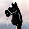 Hobby Horse - Jednorożec Czarny TAHTI koń na kiju PREMIUM Mały hh A4