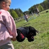 Hobby Horse, Koń na kiju - Hobby Spider czarny A4 z opaską, kolekcja Hobby Hero