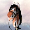 Koń na kiju Hobby Horse - Dakota Srokaty z czarną grzywą Mały