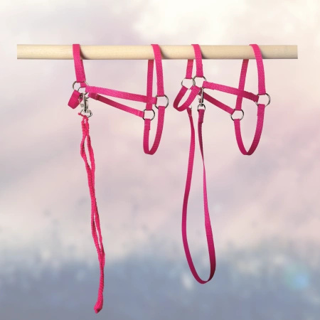 Kantar i wodze dla Hobby Horse, ogłowie - kolor różowy