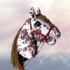 Koń na kiju Hobby Horse zestaw - Sabino srokaty z brązową grzywą, ogłowie GRATIS! rozm. Średni