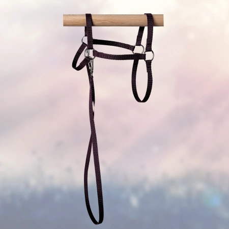 Kantar i wodze dla Hobby Horse, ogłowie - kolor fioletowy