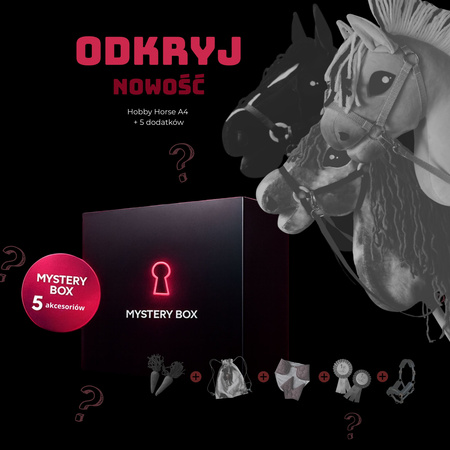 Mystery Horse Box - Hobby Horse A4 + 5 akcesoriów 
