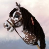 Koń na kiju Hobby Horse - Sabino srokaty z brązową grzywą Duży 