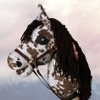 Koń na kiju Hobby Horse - Sabino srokaty z brązową grzywą Duży 