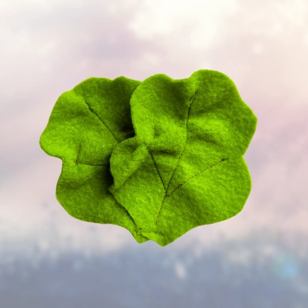 Smaczki - liście sałaty , jedzenie dla Hobby Horse