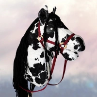 Koń na kiju Hobby Horse - Karo Srokaty Duży