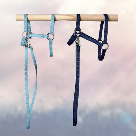Kantar i wodze dla Hobby Horse, ogłowie - kolor niebieski 