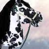 Koń na kiju Hobby Horse - Montana Tarantowaty Średni
