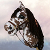 Koń na kiju Hobby Horse - Sabino srokaty z brązową grzywą Mały