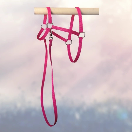 Kantar i wodze dla Hobby Horse, ogłowie - kolor różowy