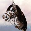 Koń na kiju Hobby Horse - Sabino srokaty z brązową grzywą Duży 