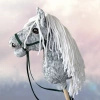 Koń na kiju Hobby Horse - Siwa w hreczkę , Szary z jasnymi włosami PREMIUM rozm. A4