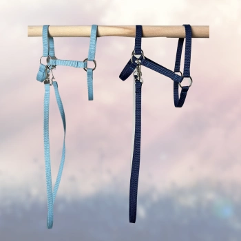 Kantar i wodze dla Hobby Horse, ogłowie - kolor niebieski 