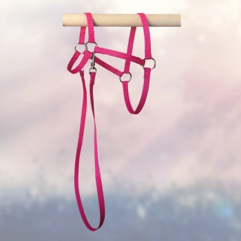 Kantar i wodze dla Hobby Horse, ogłowie - kolor różowy